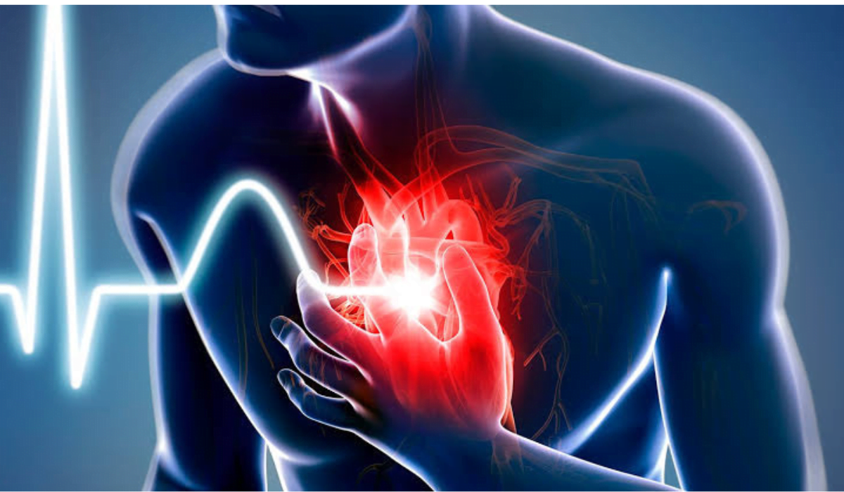 Heart Health: ಹೃದಯಾಘಾತದ ಪ್ರಕರಣಗಳು ಏಕೆ ಹೆಚ್ಚಾಗುತ್ತಿದೆ? ಬೇಕಿರುವುದು ಆಸ್ಪತ್ರೆಗಳಲ್ಲ, ಶಿಸ್ತಿನ ಬದುಕು!