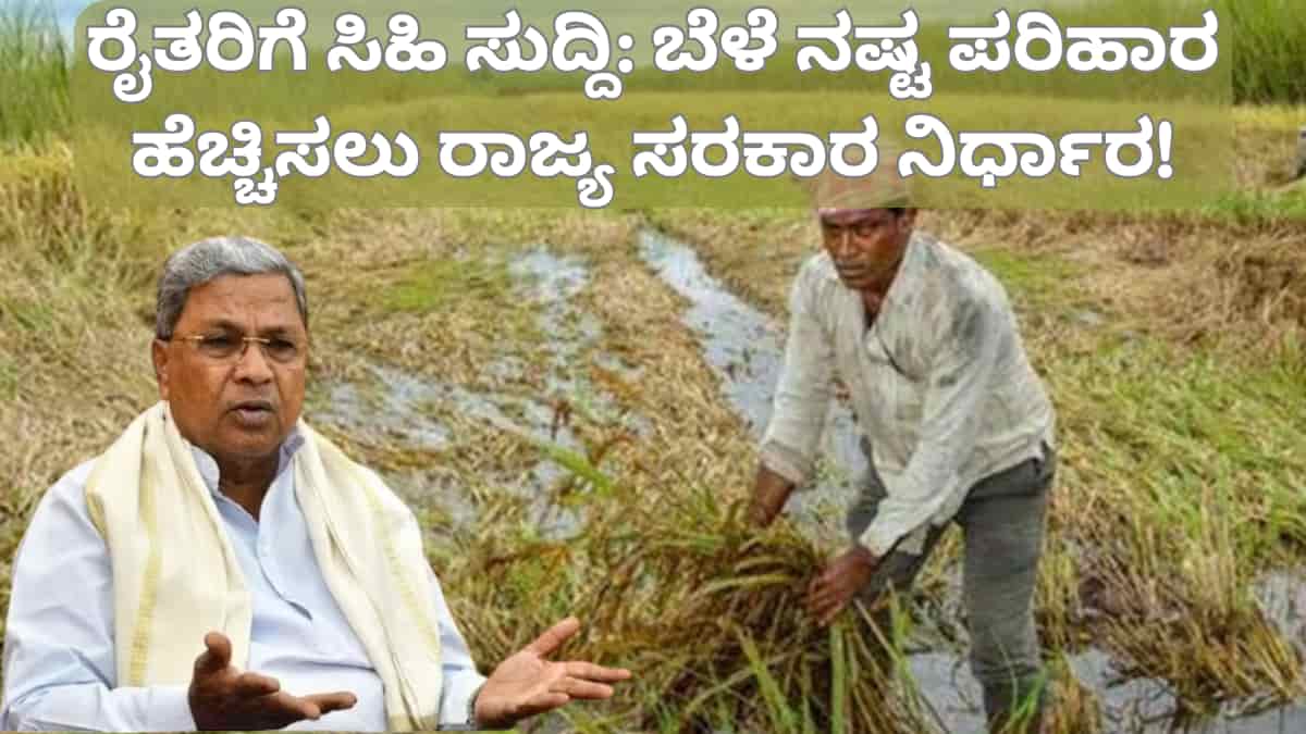 Crop Loss Compensation: ಅತಿವೃಷ್ಟಿಯಿಂದ ಬೆಳೆ ನಷ್ಟ ಪರಿಹಾರ: ರೈತರ ಖಾತೆಗೆ ಶೀಘ್ರದಲ್ಲೇ ಹೆಚ್ಚುವರಿ ಹಣ ಜಮಾ!