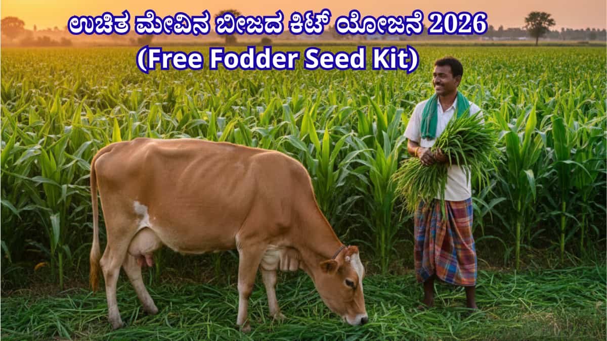 Free Fodder Seed Kit Karnataka 2026 :ಹಾಲು ಉತ್ಪಾದಕರಿಗೆ ಸಿಹಿ ಸುದ್ದಿ! ಉಚಿತ ...