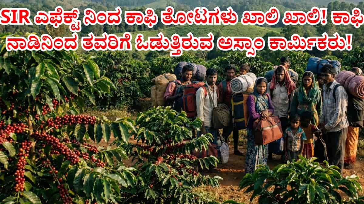 Coffee Estate Labour Crisis: SIR ಎಫೆಕ್ಟ್ ನಿಂದ ಕಾಫಿ ತೋಟಗಳು ಖಾಲಿ ಖಾಲಿ! ಕಾಫಿ ನಾಡಿನಿಂದ ತವರಿಗೆ ಓಡುತ್ತಿರುವ ಅಸ್ಸಾಂ ಕಾರ್ಮಿಕರು! ಸ್ಥಳೀಯ ಕಾರ್ಮಿಕರಿಗೆ ಡಿಮ್ಯಾಂಡ್!