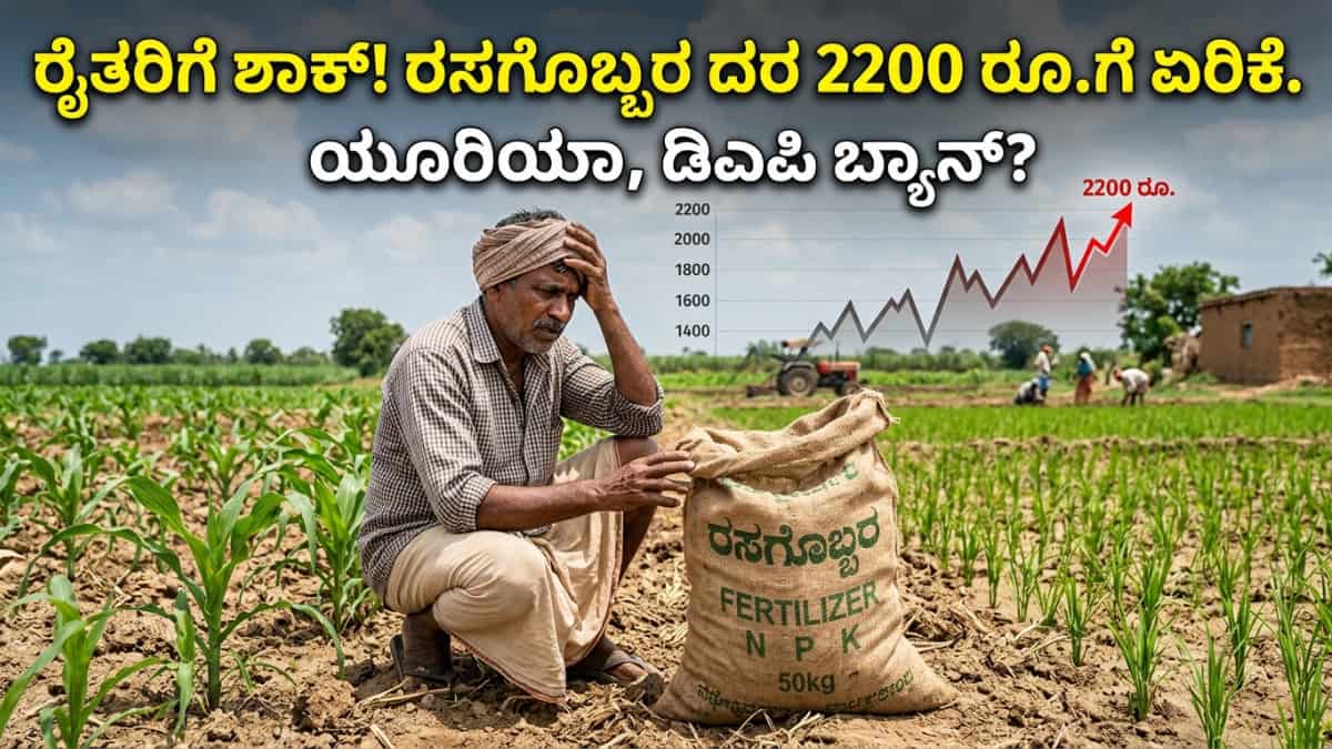 Fertilizer Price Hike: ರೈತರಿಗೆ ಬಿಗ್ ಶಾಕ್: ರಸಗೊಬ್ಬರ ದರ 2200 ರೂ.ಗೆ ಏರಿಕೆ! DAP ಮತ್ತು ಯೂರಿಯಾ ಮಾರಾಟ ಬ್ಯಾನ್!