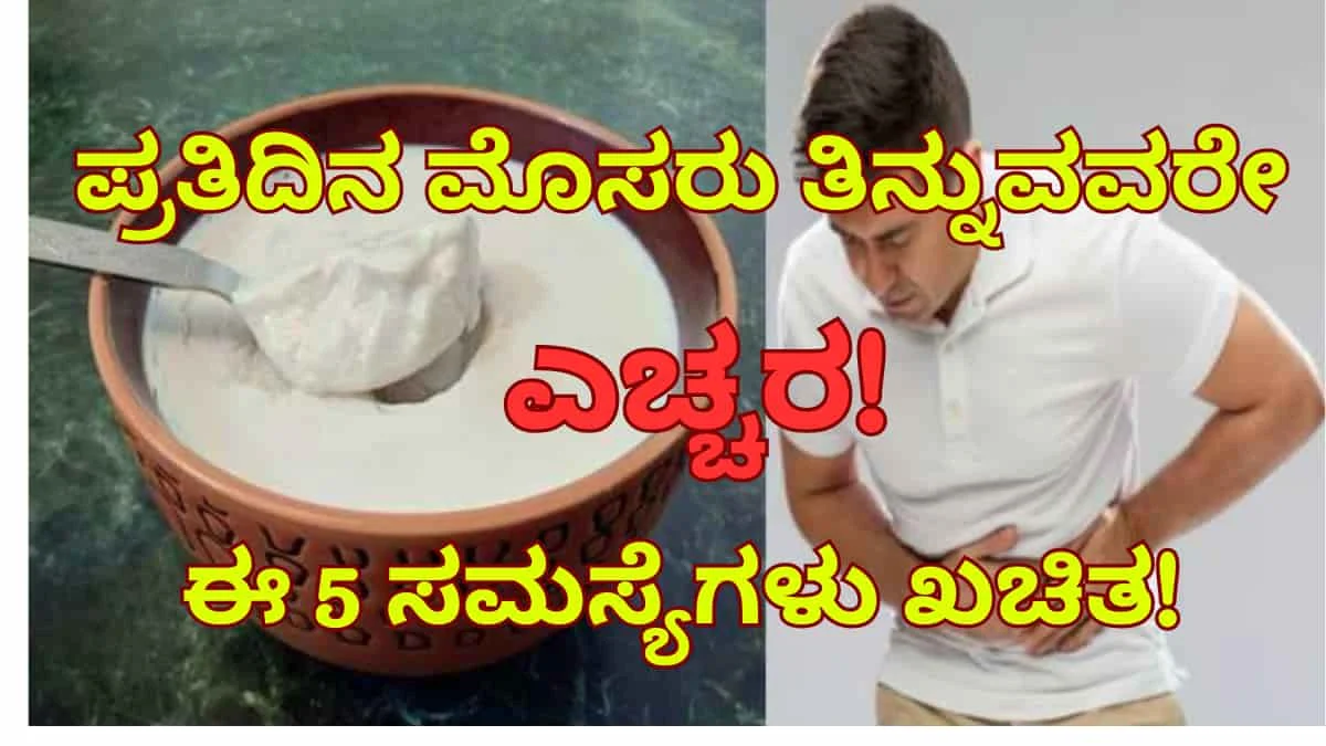 ಪ್ರತಿದಿನ ಮೊಸರು ತಿನ್ನುವವರೇ ಎಚ್ಚರ! ಈ 5 ಸಮಸ್ಯೆಗಳು ಖಚಿತ! ಆಯುರ್ವೇದ ಡಾಕ್ಟರ್ ಎಚ್ಚರಿಕೆ!