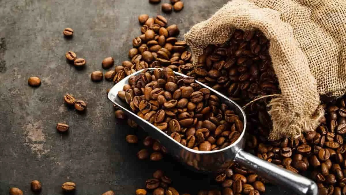 Coffee Prices 2025: ಬ್ರೆಜಿಲ್‌ನಲ್ಲಿ ಬರ ಮತ್ತು ಅಮೆರಿಕದ ಕಾಫಿ ಸಂಗ್ರಹ ಕಡಿತ! ಕಾಫಿ ಬೆಲೆಯಲ್ಲಿ ಭಾರೀ ಏರಿಕೆ!