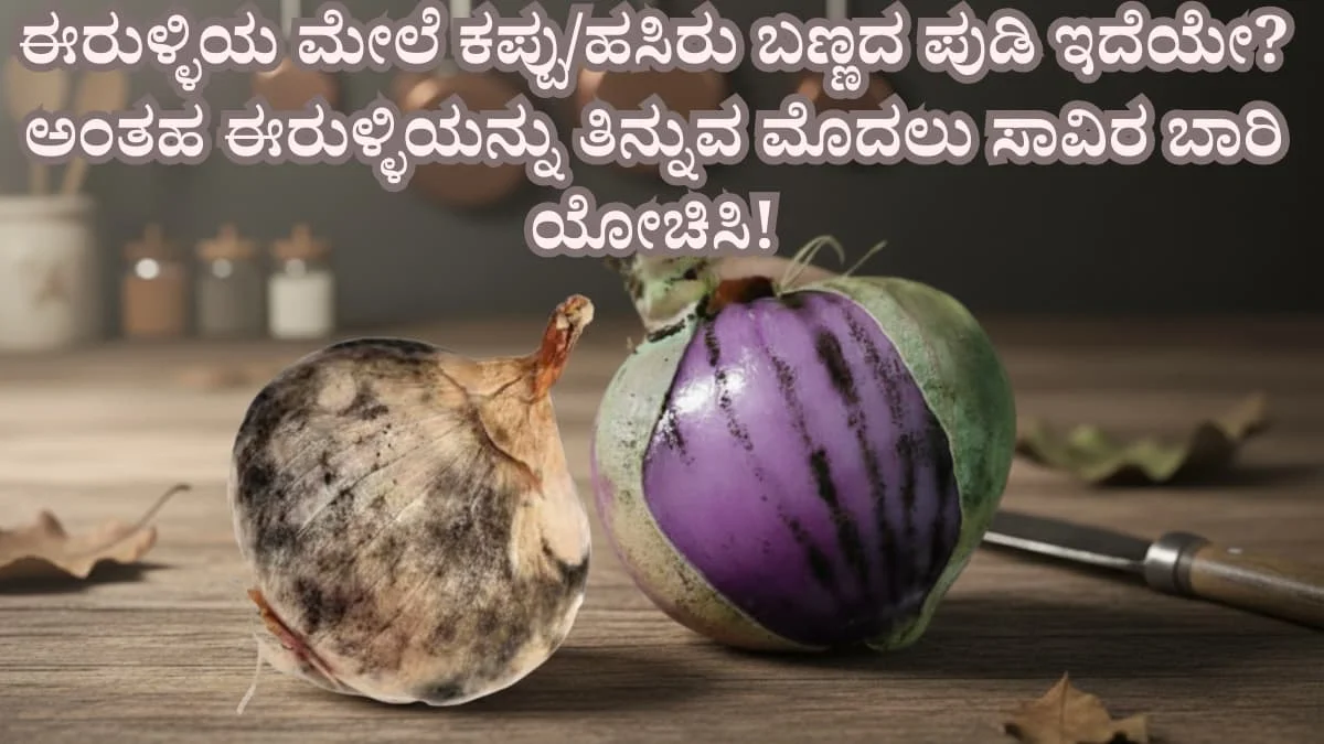ಈರುಳ್ಳಿಯ ಮೇಲೆ ಕಪ್ಪು/ಹಸಿರು ಬಣ್ಣದ ಪುಡಿ ಇದೆಯೇ? ಅಂತಹ ಈರುಳ್ಳಿಯನ್ನು ತಿನ್ನುವ ಮೊದಲು ಸಾವಿರ ಬಾರಿ ಯೋಚಿಸಿ!
