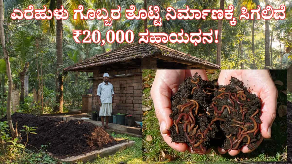 Vermicompost Pit Subsidy: ಎರೆಹುಳು ಗೊಬ್ಬರ ತೊಟ್ಟಿ ನಿರ್ಮಾಣಕ್ಕೆ ಸಿಗಲಿದೆ ₹20,000 ಸಹಾಯಧನ! ಇಂದೇ ನಿಮ್ಮ ಪಂಚಾಯತ್ಗೆ ಭೇಟಿ ನೀಡಿ!
