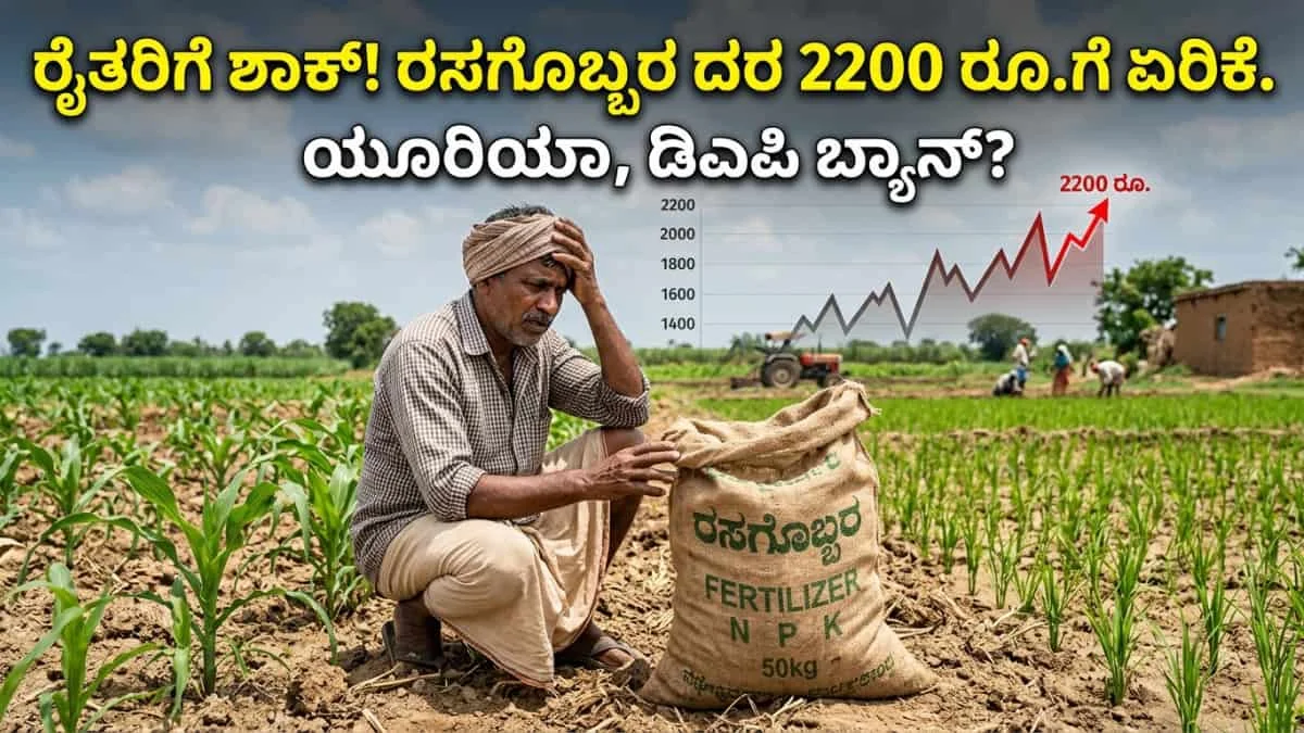 Fertilizer Price Hike: ರೈತರಿಗೆ ಬಿಗ್ ಶಾಕ್: ರಸಗೊಬ್ಬರ ದರ 2200 ರೂ.ಗೆ ಏರಿಕೆ! DAP ಮತ್ತು ಯೂರಿಯಾ ಮಾರಾಟ ಬ್ಯಾನ್!